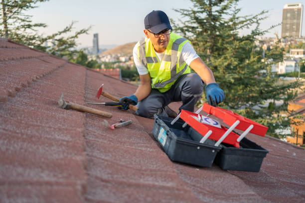 Best Fiber Cement Siding Installation  in Fond Du Lac, WI