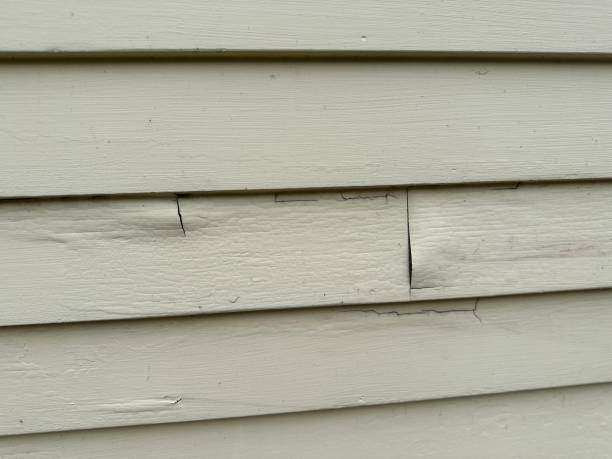 Best Stucco Siding  in Fond Du Lac, WI